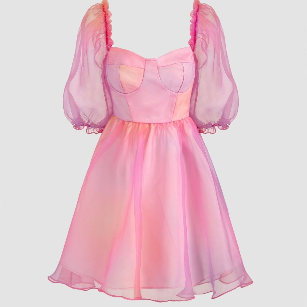 NWT Cider Heart on Fire Pink Ombre Tulle Dress (Size M / 6)